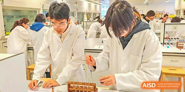 Students from The Affiliated High School of Peking University's Dalton Academy in lab coats carefully handling test tubes and conducting a chemical experiment on a lab bench.