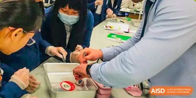 Close-up of hands working with small objects, possibly developing fine motor skills at Harrow Lide High School Nanning.