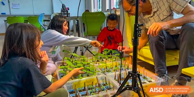 Wenzhou Union International School (WUIS) students working together to tend to small plants in a vertical farming or hydroponics setup.