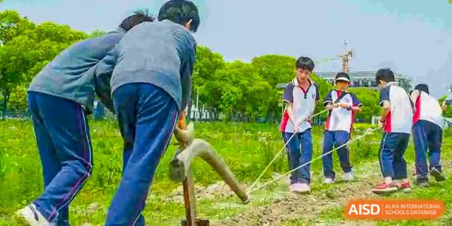 Students from The International School of Rhodes participating in an outdoor physical activity or farm work in a field.