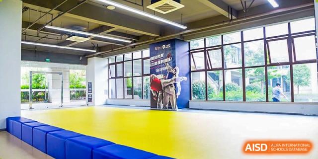 A spacious indoor training area at Boya International Academy (BIA) with a yellow and blue mat floor, used for martial arts or gymnastics.