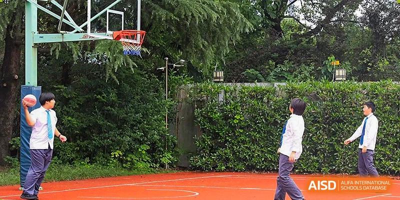 Outdoor sports court with a basketball hoop visible behind a tall green hedge and trees at Britannica International School, Shanghai.