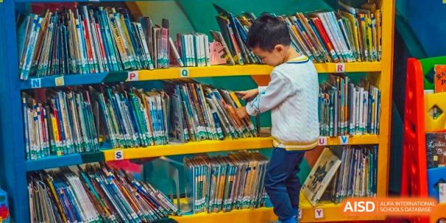 A young male student from Changchun American International School (CAIS) searching for a book on a shelf in the library.