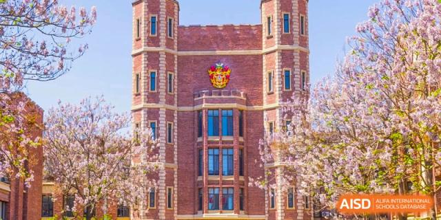 The impressive, historic-style brick facade of the school building with a coat of arms, framed by blooming pink cherry trees at Haileybury Schools, Tianjin.
