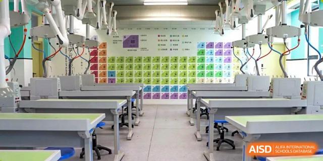 Chemistry classroom featuring a large, colorful periodic table display covering an entire wall, with student laboratory desks arranged below it  Hefei No.6 High School International Department.