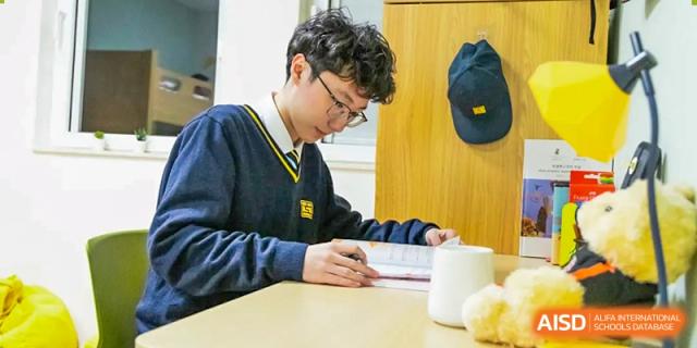 A male student from Hiba Academy Nantong, wearing glasses and a sweater, intently writing or studying at a desk.