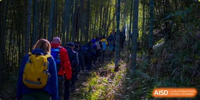 A line of students from Hiba Academy Nantong hiking or walking along a shaded, sun-dappled path through a dense forest.