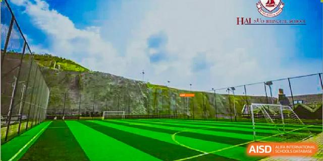 An expansive outdoor green sports field at Milton International School Qingdao built into a sloped, grassy embankment under a cloudy sky.