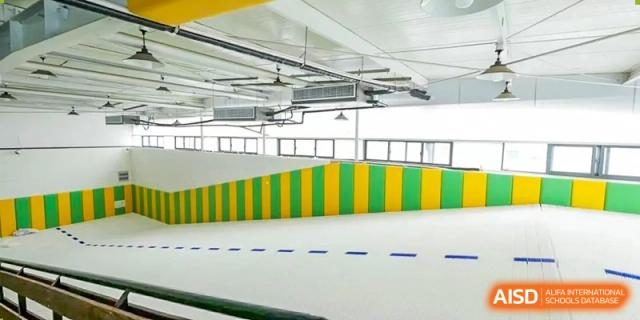 An indoor sports or activity space with a padded yellow and green wall lining the edge of a clean, lined floor at Shanghai DTD Academy.