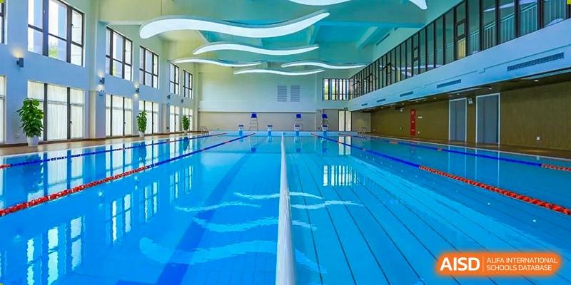 The bright, modern indoor swimming pool and lane markers at Shanghai New Epoch Bilingual School.