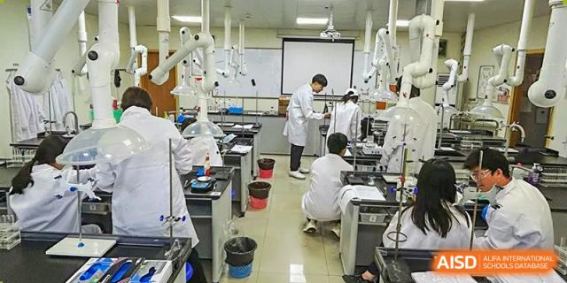 A wide view of students and teachers working in a busy science laboratory with multiple workstations at Shenzhen College of International Education.