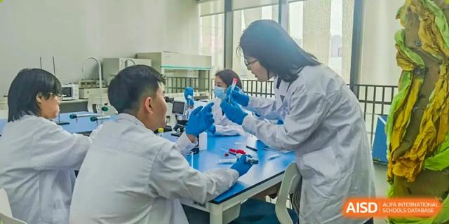 Students in lab coats carefully handling test tubes and beakers during a science experiment at Shenzhen International Foundation College (SIFC).