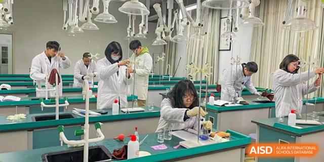 Students performing a chemical or biological experiment using glassware and equipment in a lab at Walton International School Xuzhou.