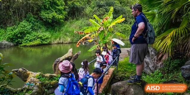 Xiamen International School students exploring a natural outdoor area near a small stream and dense foliage during a field trip.