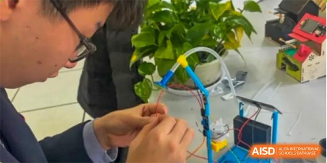 Close-up of a student's hands at Yew Chung International School of Qingdao working on a STEM experiment involving wires, a plant, and a water-filled glass.