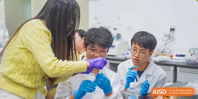 A group of students in a lab collaborating and observing a scientific reaction or sample up close at Tianjin Farragut School.