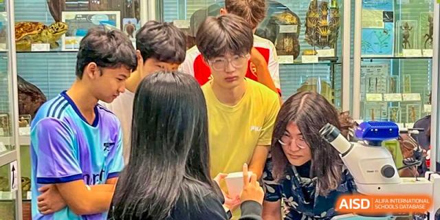 A group of students work collaboratively on a science project while looking at lab specimens at Korea International School in Shenzhen.