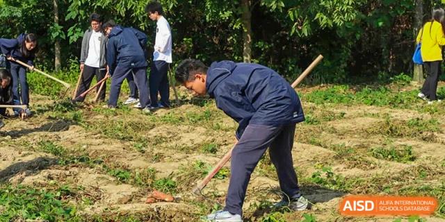 A student from Hangzhou Entel Foreign Language School participates in outdoor experiential learning, digging in the soil with a shovel during a practical class.