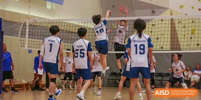 Volleyball players in blue and white uniforms jump high near the net to block the ball during a spirited game at BASIS International School Park Lane Harbour.