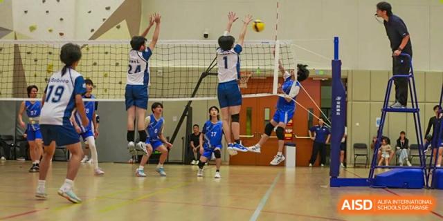 A volleyball player spikes the ball over the net while opponents attempt to block during an intense match at BASIS International School Park Lane Harbour.