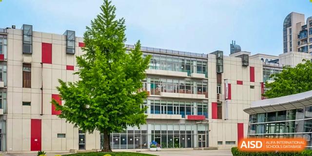 A large, leafy green tree stands prominently in front of a modern multi-story school building with large glass windows under a clear sky at Beijing City International School.