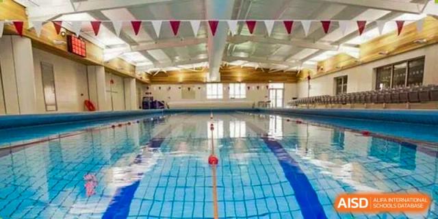 A view of an indoor swimming pool with lane markers and clear blue water, showing the aquatics facility available at Concordia International School Ningbo.
