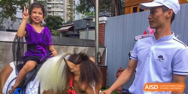 A close-up shot of a pony being guided by staff during an outdoor activity at École Française Internationale de Shenzhen(EFIS).