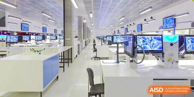 A wide perspective showcases the interior of a modern technology lab, featuring rows of clean, empty desks equipped with computer monitors and lab chairs at Maple Leaf International School Shanghai.