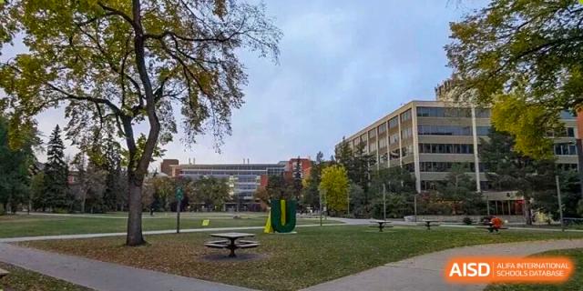 The beautiful campus grounds are shown in autumn, featuring a wide green lawn, scattered picnic tables, and academic buildings in the background under a clear sky at Maple Leaf International School Shanghai.