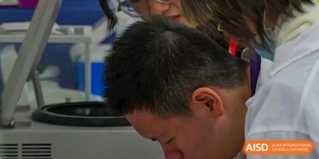 A focused close-up shot of a student deeply engaged in a technical task or concentrating on a project at Living Word Shanghai.