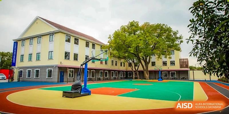 An image showing the bright, colorful outdoor basketball court and playground area of the school, with a large tree and adjacent dormitory building, Living Word Shanghai.