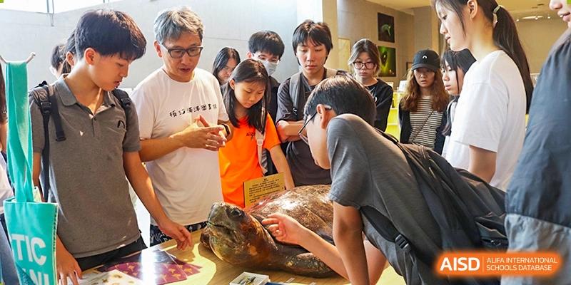 Students and adults gathered around a table observing a large turtle, possibly during a nature or science lesson, Avenues: The World School.