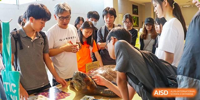 Students and adults gathered around a table observing a large turtle, possibly during a nature or science lesson, Avenues: The World School.