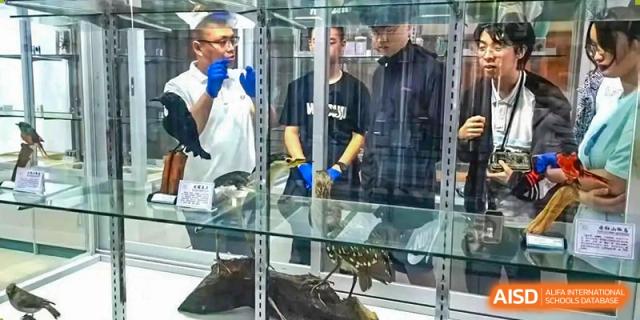Students in a laboratory setting observe biological specimens displayed in a glass case during a science lesson at International Studies Center Of Chongqing Nankai Secondary School.