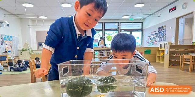 Two young boys curiously observe watermelons floating in a clear water tank during a science exploration session at Benenden Bilingual School Guangzhou