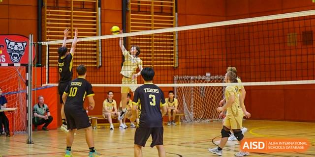 A male student athlete jumps high to serve a volleyball over the net during a competitive indoor match. Deutsche Botschaftsschule Peking