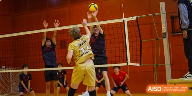 A student athlete in a gold "DSP Panthers" jersey successfully spikes the ball over the net during a match. Deutsche Botschaftsschule Peking