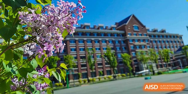 Close-up of bright purple blossoms on a tree with a grand multi-story brick academic building in the background at Harbin Meijia Foreign Language School.