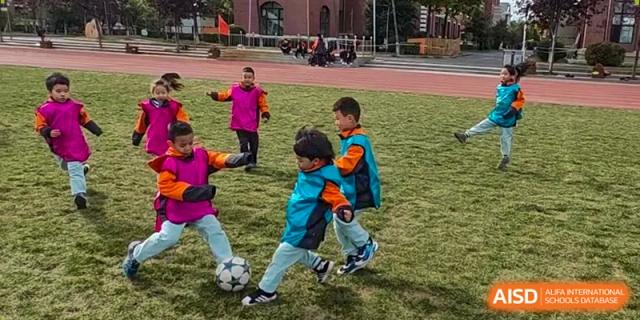 Young children in teal and orange jackets play soccer together on a lush green field during an outdoor sports session at Harbin Meijia Foreign Language School.