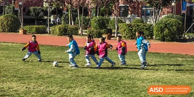 Young children in colorful pink and blue vests participate in a group running activity on the grass field at Harbin Meijia Foreign Language School.