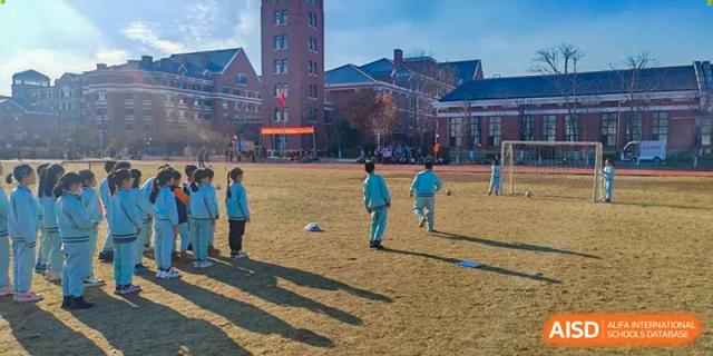 Students in light blue tracksuits participate in outdoor drills on a large field during a bright afternoon at Harbin Meijia Foreign Language School.