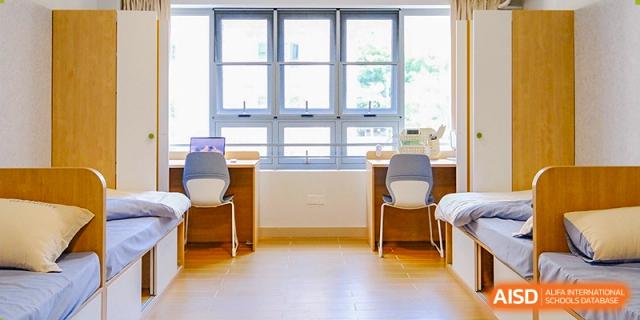 Individual study carrels with ergonomic chairs positioned in front of large windows for natural light at Guangzhou ULink International School.