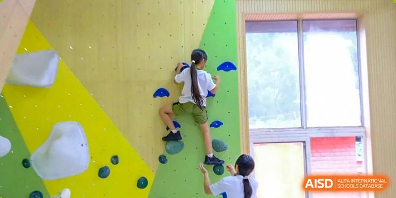 Two students practice their climbing techniques on a wooden indoor bouldering wall, supported by green and blue holds during an extracurricular program at Beijing Tongzhou Shuren Private School.