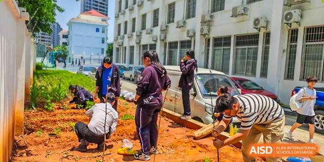 Students and staff participating in an outdoor community service activity, working together to improve the surroundings and promote responsibility, teamwork, and social awareness at Xiamen ITG-SUIS High School