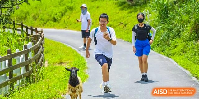 A student smiles while running down a scenic path, followed closely by a sheep, capturing a fun and lighthearted moment during a rural excursion with Huafu International Department.