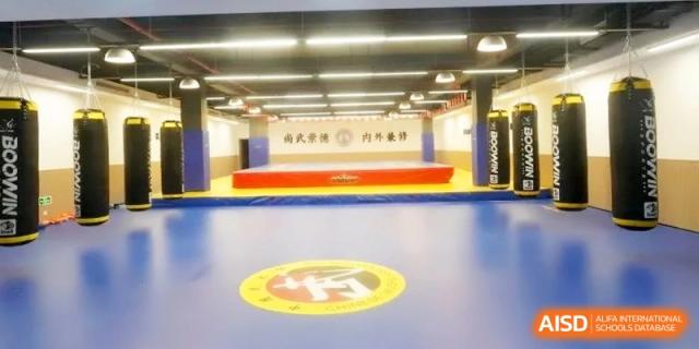 A spacious indoor martial arts gymnasium with a blue mat surface, training equipment along the walls, and a large school emblem logo on the floor at Ronghaui International School.