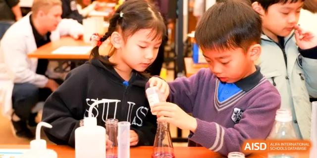 Students work together on a chemistry experiment using test tubes and liquid solutions. | Shanghai United International School, Hongqiao Campus