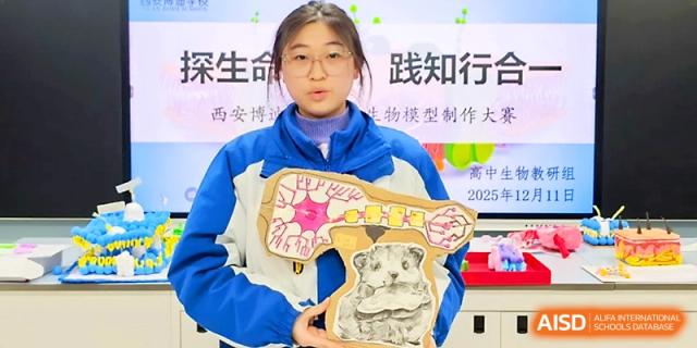 A student presents a colorful 3D biology model showing internal cell structures during a science fair at Xi_an Bodi School.