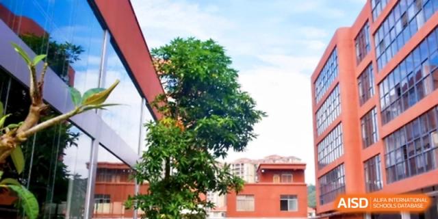 An outdoor view shows a lush green tree against the modern architecture of the campus buildings at Yangjiang Yangdong Eone school.