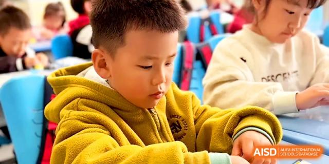 A young student in a yellow sweater focuses intently on a classroom activity during a lesson at Zibo International Academy At Hi-Tech Zone.